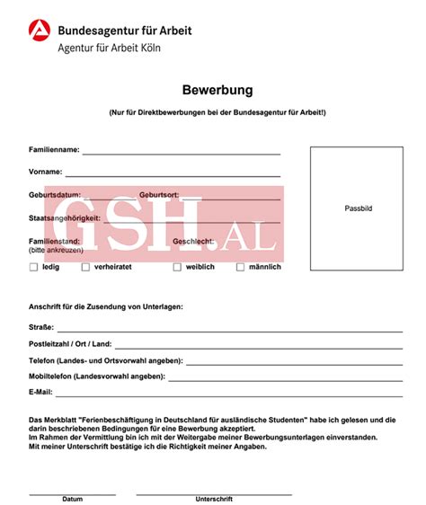 Formularët për vizë duhet të plotësohen në gjuhën <strong>gjermane</strong>, apo angleze 3 fotografi aktuale biometrike të formatit të pasaportës me sfond me ngjyrë të çelët. . Formular aplikimi per vize pune gjermane
